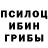 Псилоцибиновые грибы GOLDEN TEACHER Squady Dero