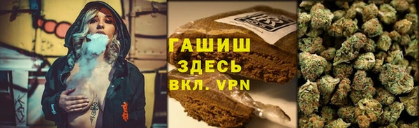 дмт Пересвет