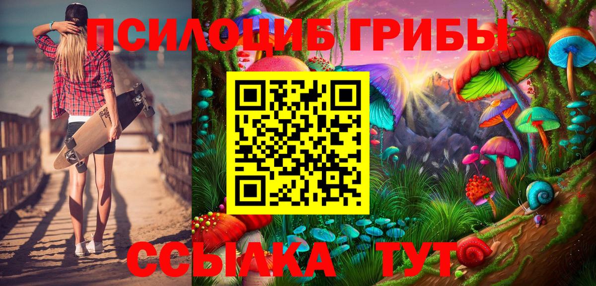 APVP Заречный