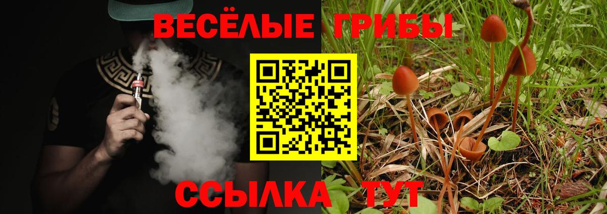 Псилоцибиновые грибы ЛСД  цены наркотик  Заречный  Вход с VPN 